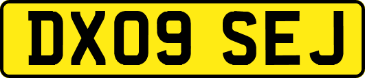 DX09SEJ