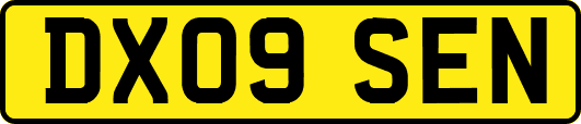 DX09SEN