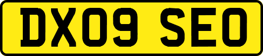 DX09SEO
