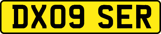 DX09SER