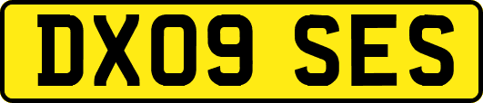 DX09SES