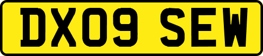DX09SEW