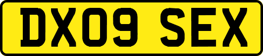 DX09SEX