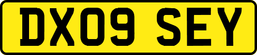 DX09SEY