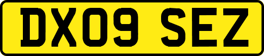 DX09SEZ