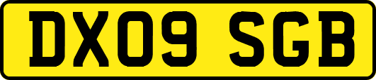 DX09SGB