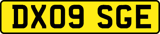 DX09SGE