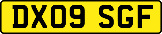 DX09SGF