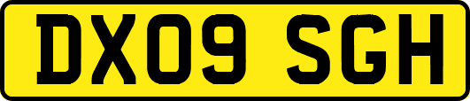 DX09SGH