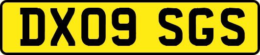 DX09SGS