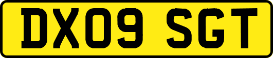 DX09SGT