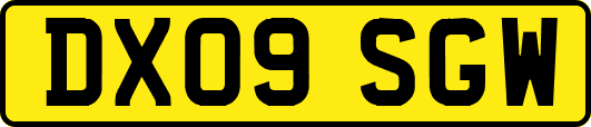 DX09SGW