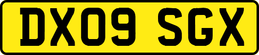 DX09SGX