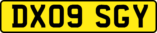 DX09SGY