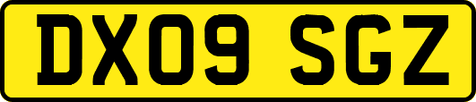 DX09SGZ