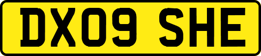 DX09SHE