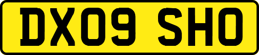 DX09SHO