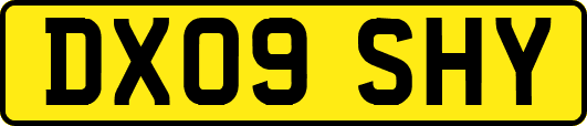 DX09SHY
