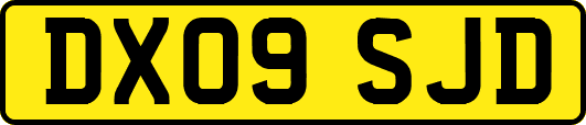 DX09SJD