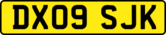 DX09SJK