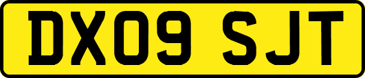 DX09SJT