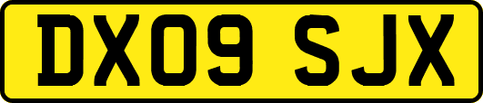 DX09SJX