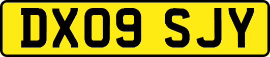 DX09SJY