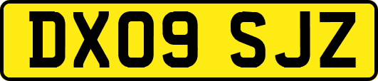 DX09SJZ