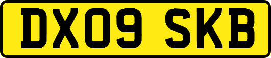 DX09SKB
