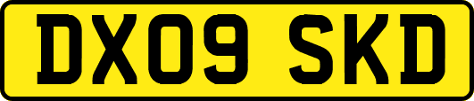 DX09SKD