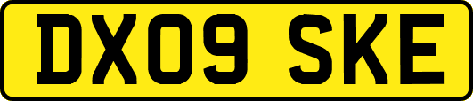 DX09SKE