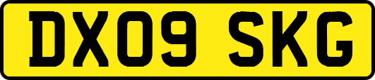 DX09SKG