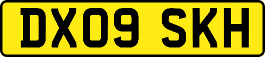 DX09SKH