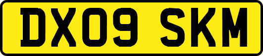 DX09SKM