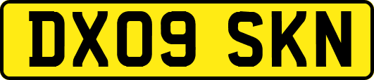 DX09SKN