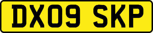 DX09SKP