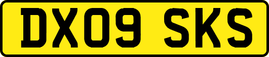 DX09SKS