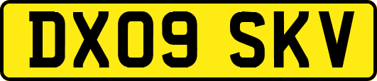DX09SKV