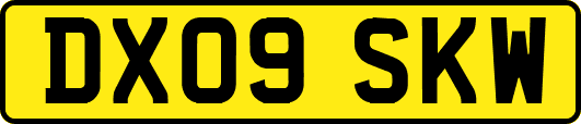 DX09SKW