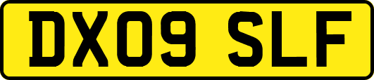 DX09SLF