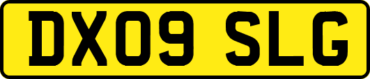 DX09SLG