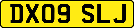 DX09SLJ