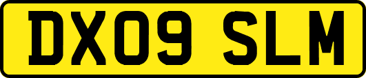DX09SLM