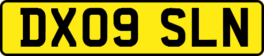 DX09SLN