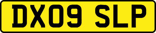 DX09SLP