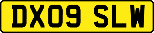 DX09SLW