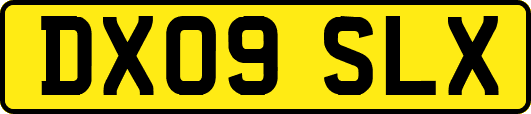 DX09SLX