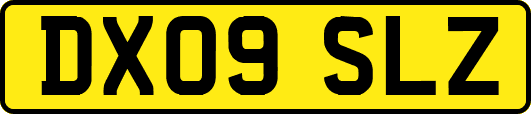 DX09SLZ
