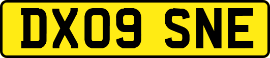 DX09SNE