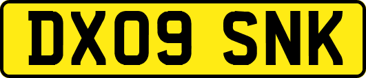 DX09SNK